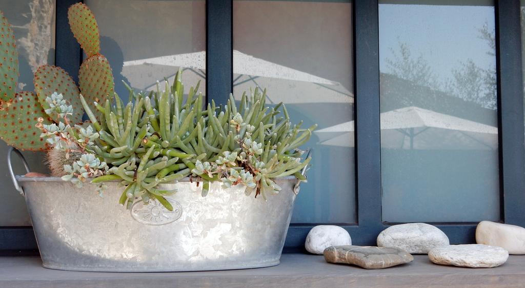 I Freschi San Bartolomeo Al Mare Exterior foto
